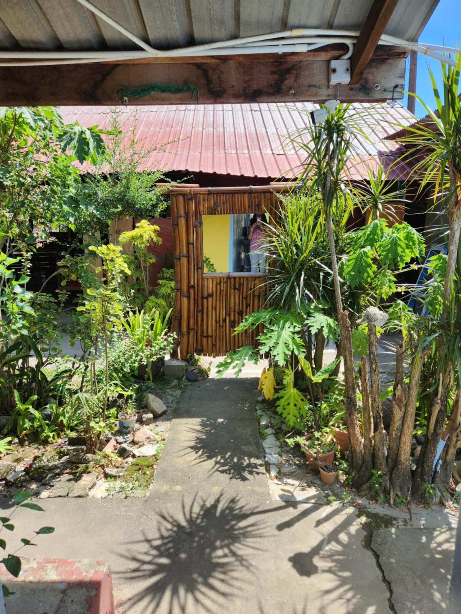 Gecko Guesthouse Pantai Cenang  Zewnętrze zdjęcie