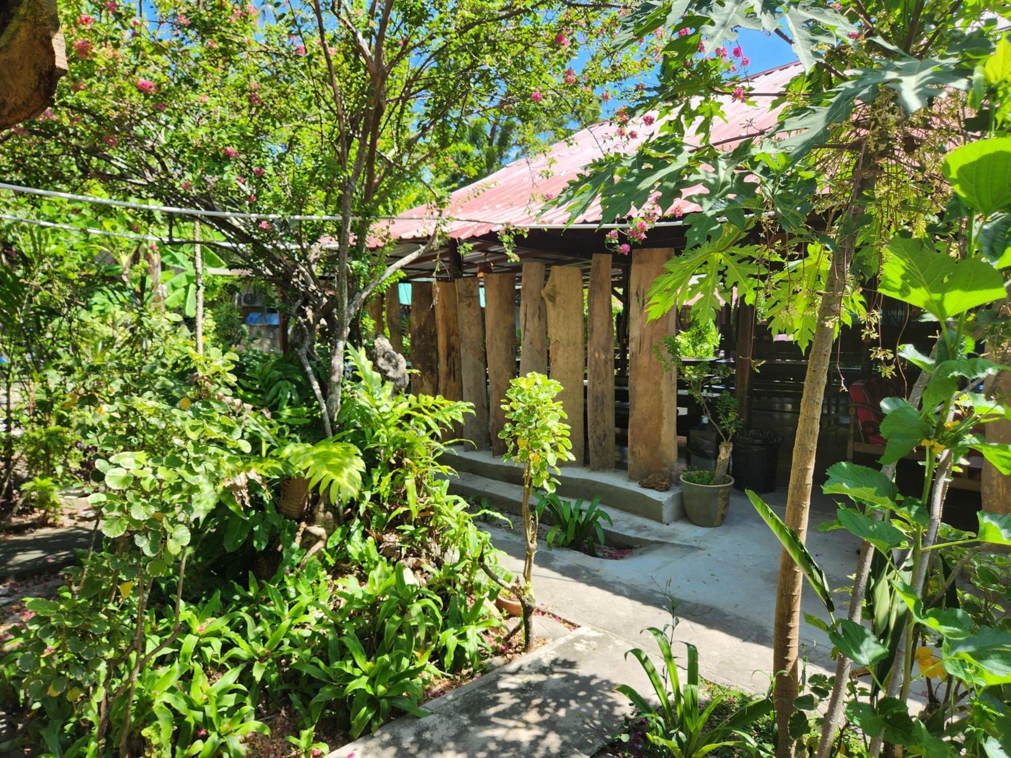 Gecko Guesthouse Pantai Cenang  Zewnętrze zdjęcie