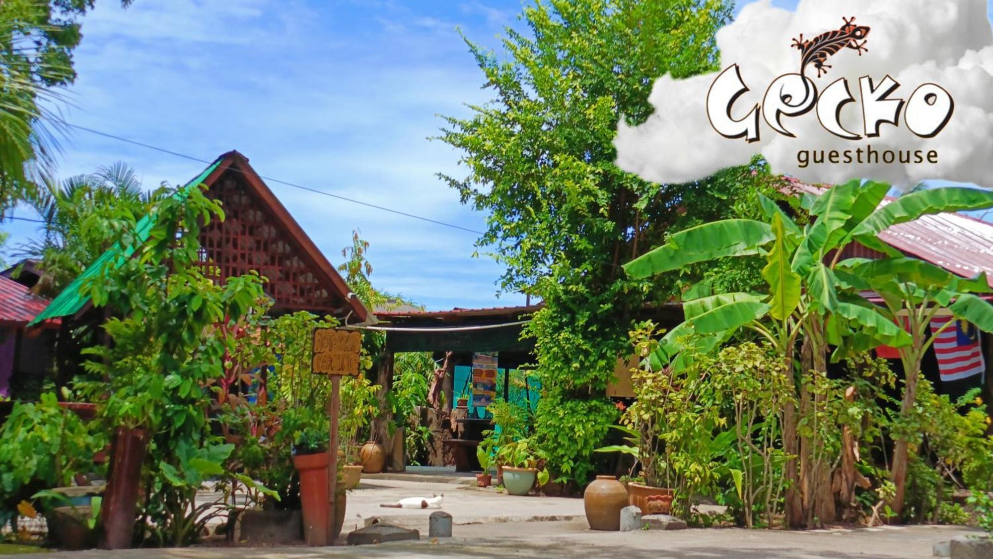 Gecko Guesthouse Pantai Cenang  Zewnętrze zdjęcie
